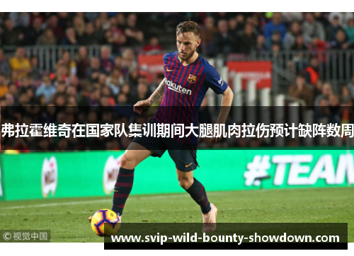 弗拉霍维奇在国家队集训期间大腿肌肉拉伤预计缺阵数周