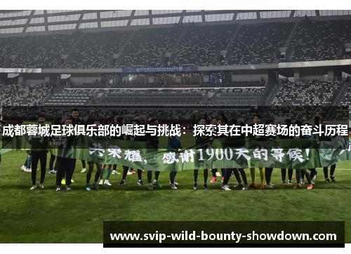 成都蓉城足球俱乐部的崛起与挑战：探索其在中超赛场的奋斗历程