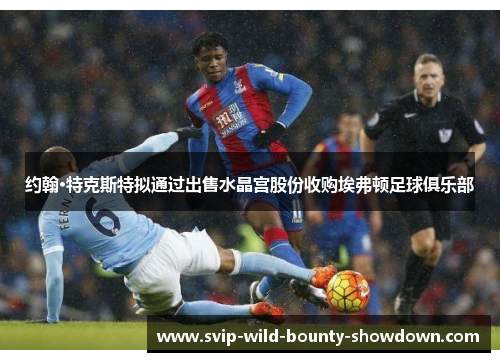 约翰·特克斯特拟通过出售水晶宫股份收购埃弗顿足球俱乐部