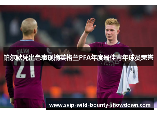 帕尔默凭出色表现摘英格兰PFA年度最佳青年球员荣誉 帕尔默凭出色表现摘英格兰PFA年度最佳青年球员荣誉