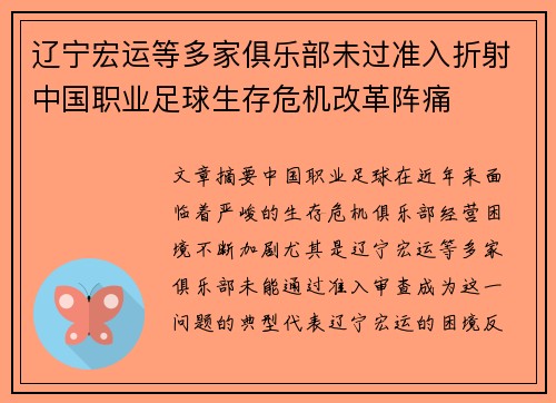 辽宁宏运等多家俱乐部未过准入折射中国职业足球生存危机改革阵痛